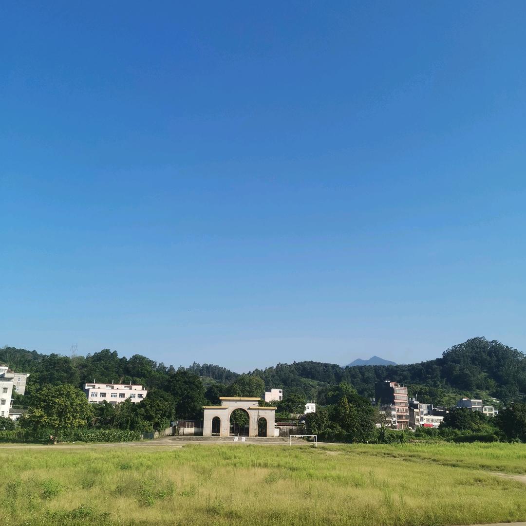 彬彬有礼