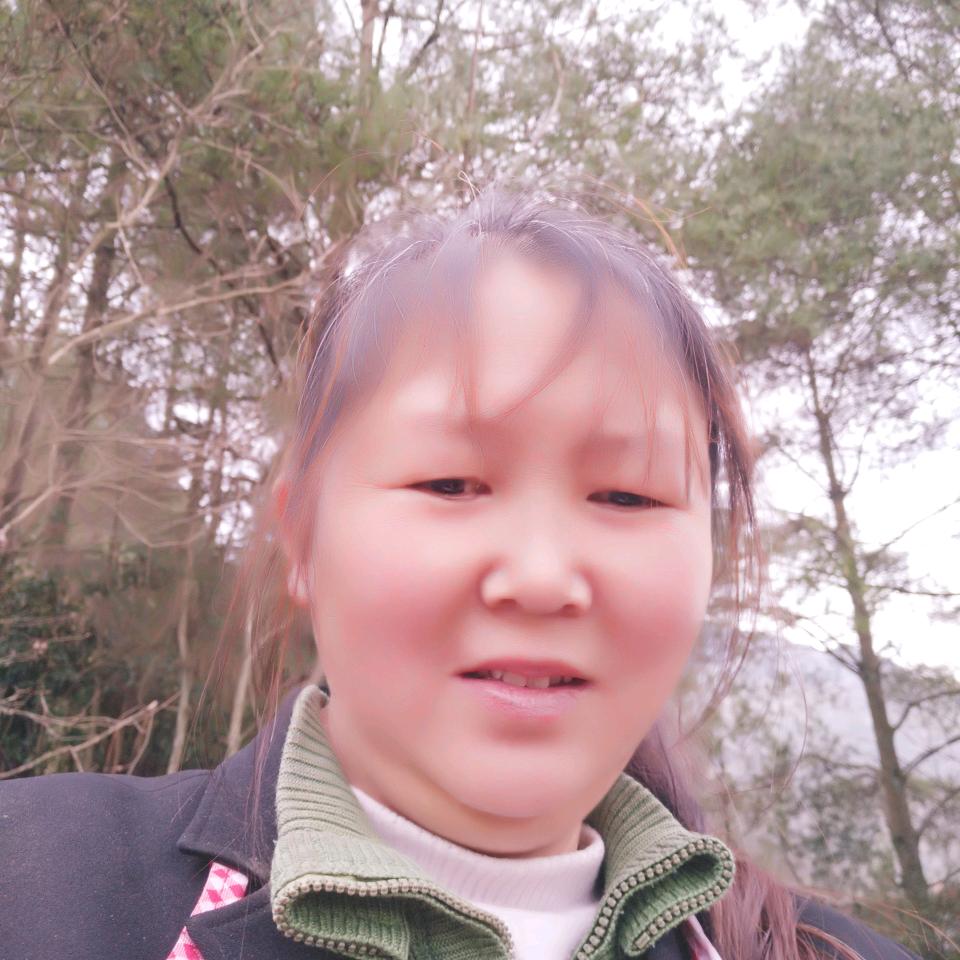 陈林会