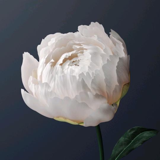 人只能靠自己꧂