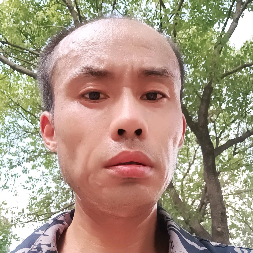 飞龙在天