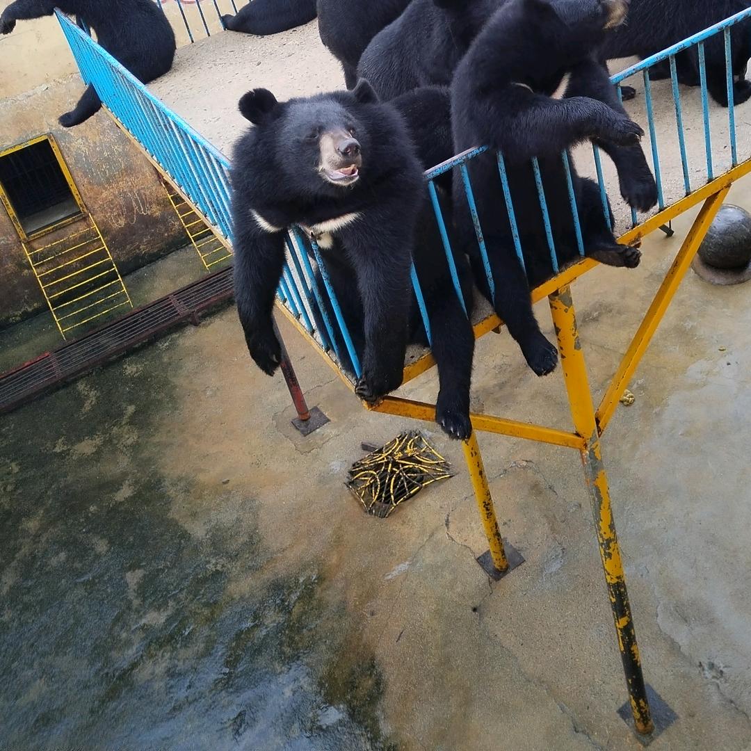 l强后一：碎什大反