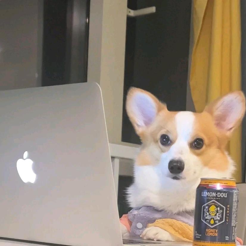 王牌飞机劝导员