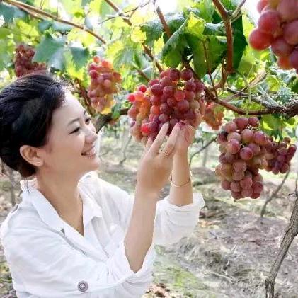 春暖花开情感