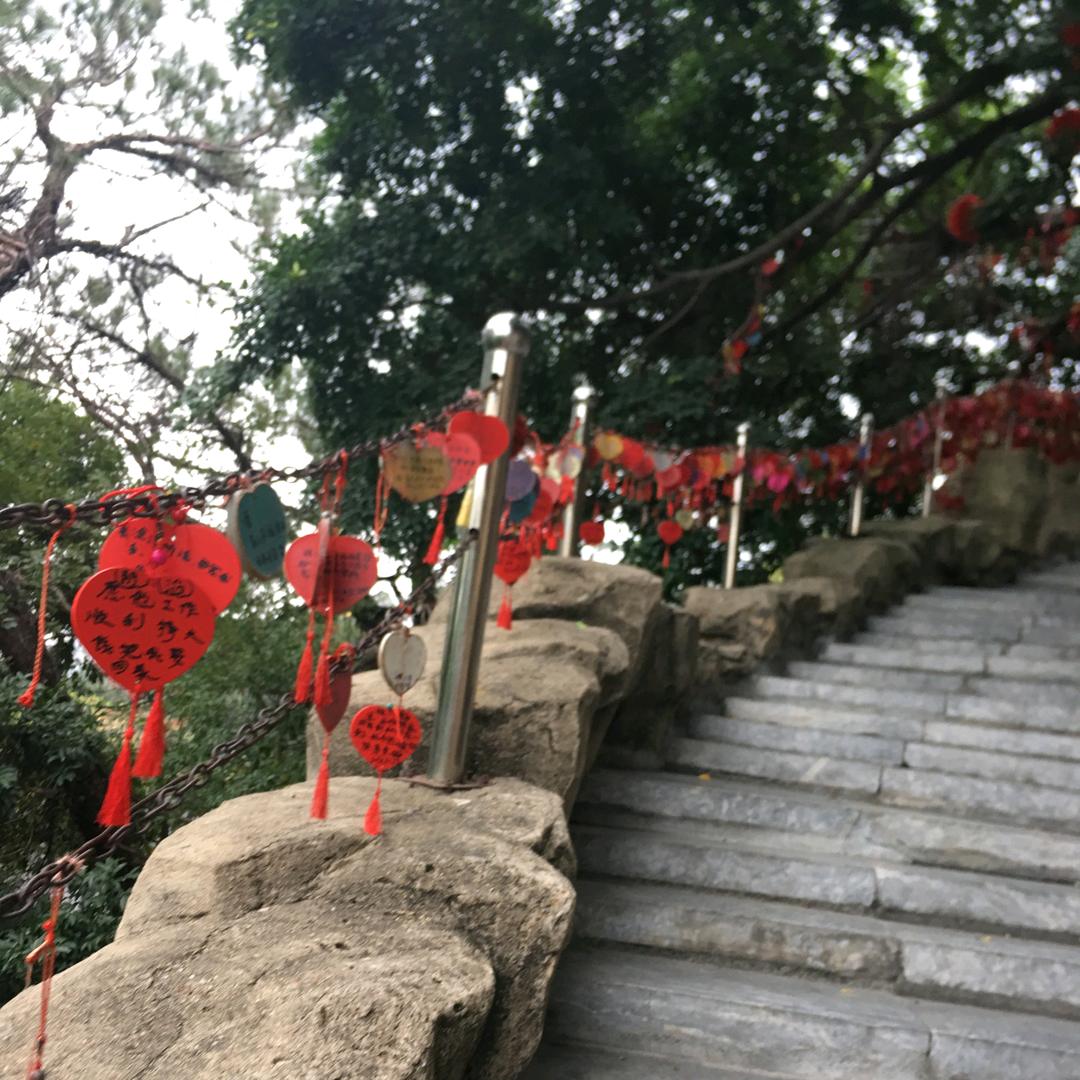 安康感恩❤️