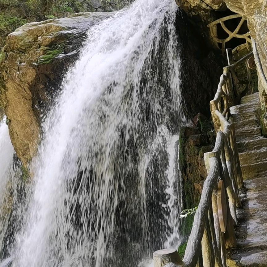 雨中鹰