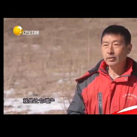 杰哥平欧大榛子