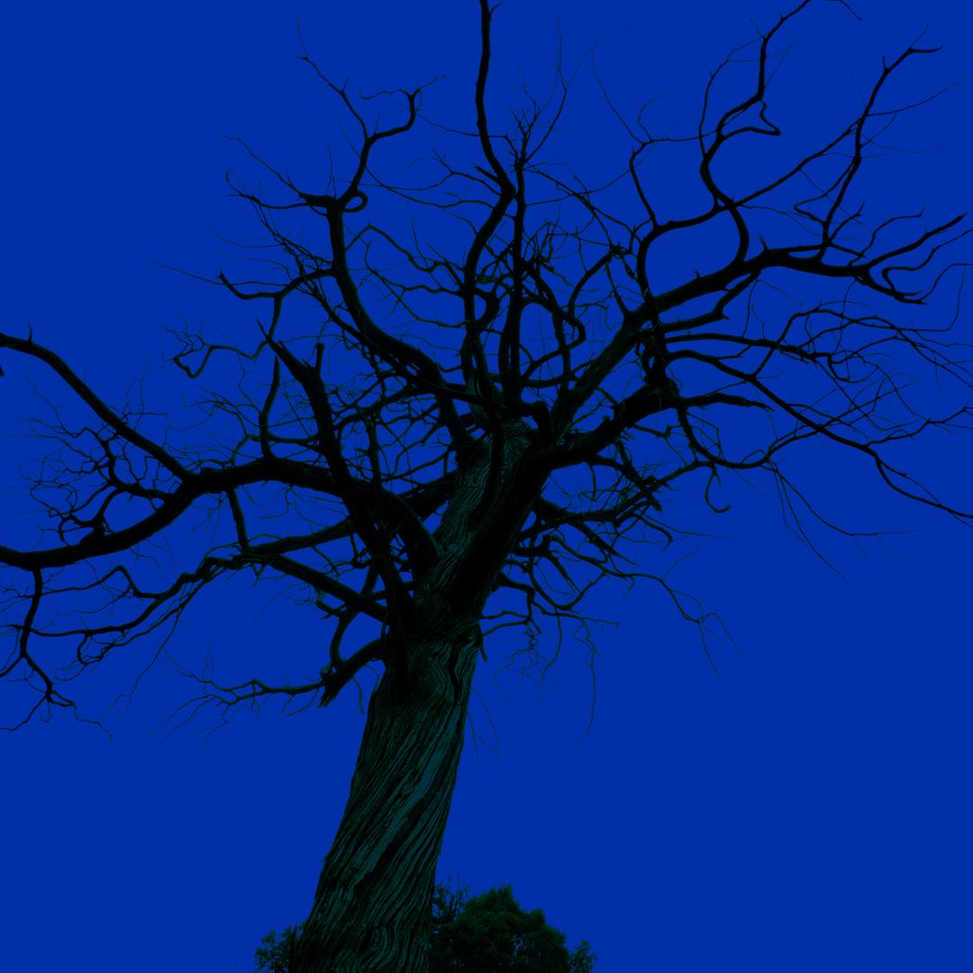 一点都不徐的小徐