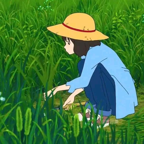 西瓜味的柠檬