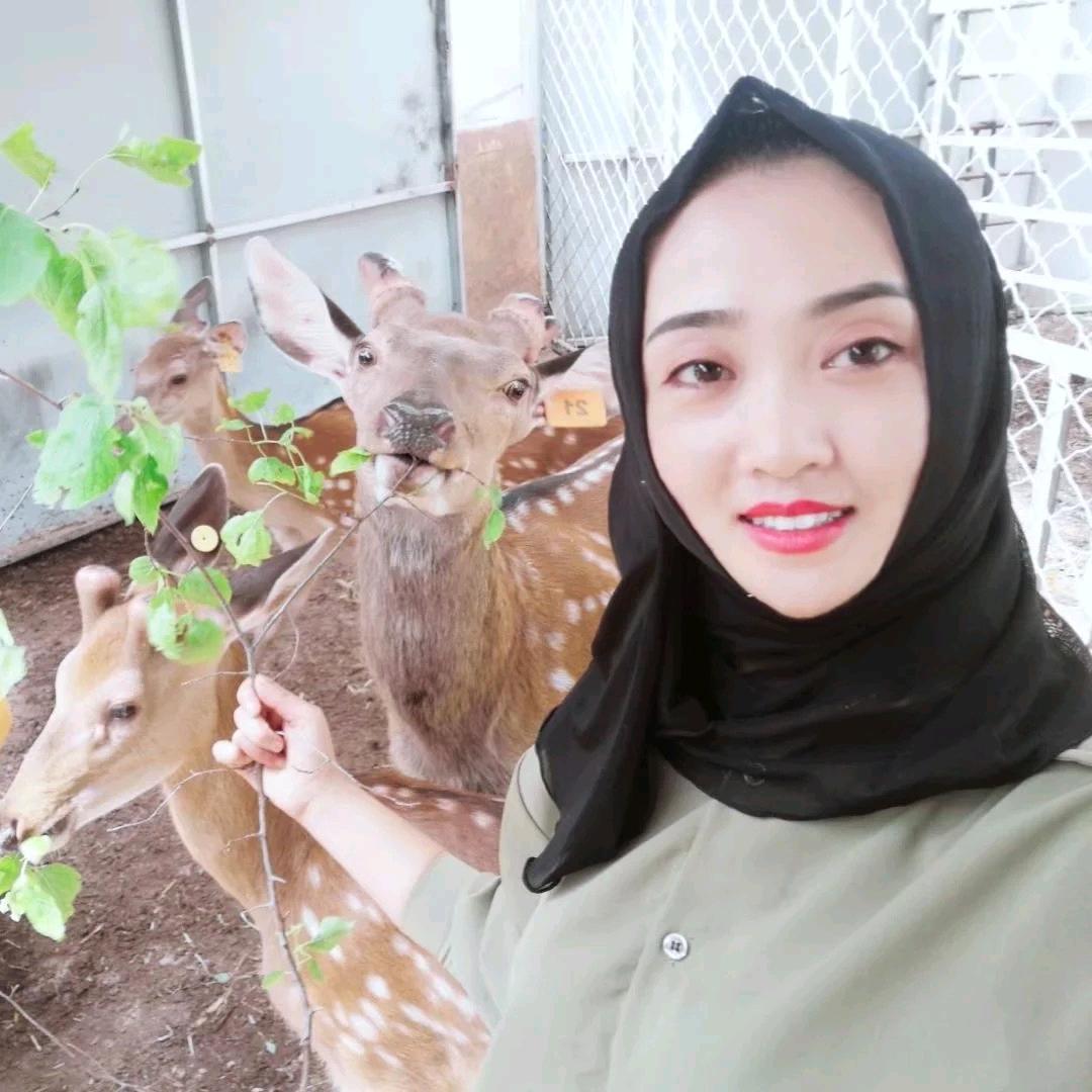 梅花鹿🦌鹿小妹🦌