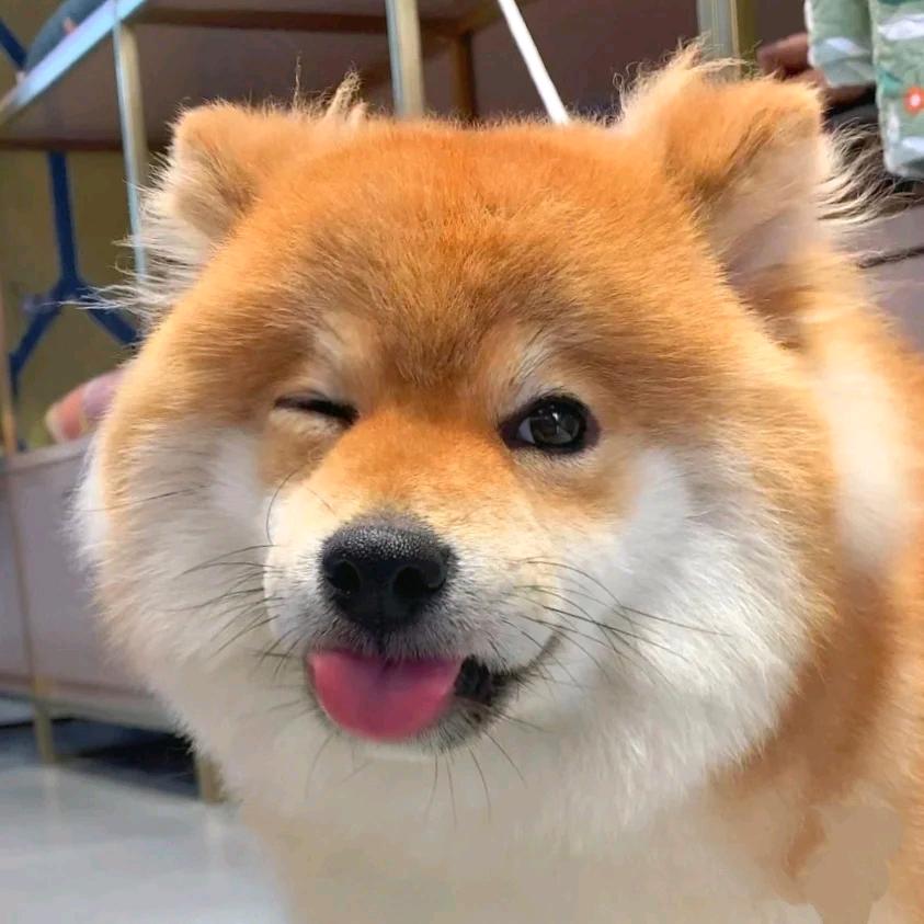 🌈美式报喝