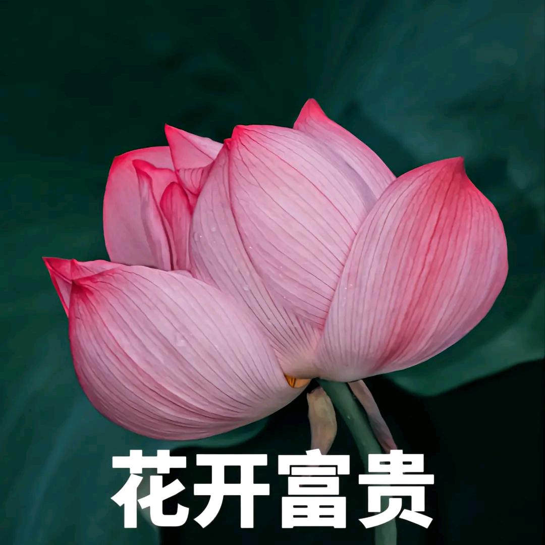 刘雨欣