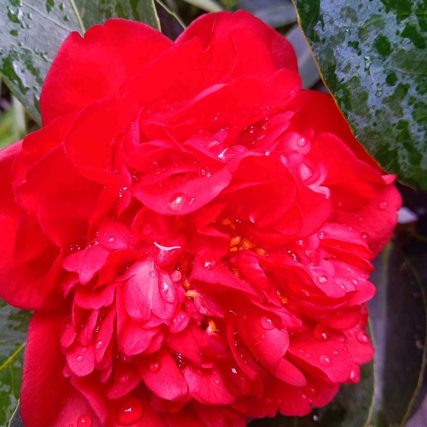 开心每一天97650