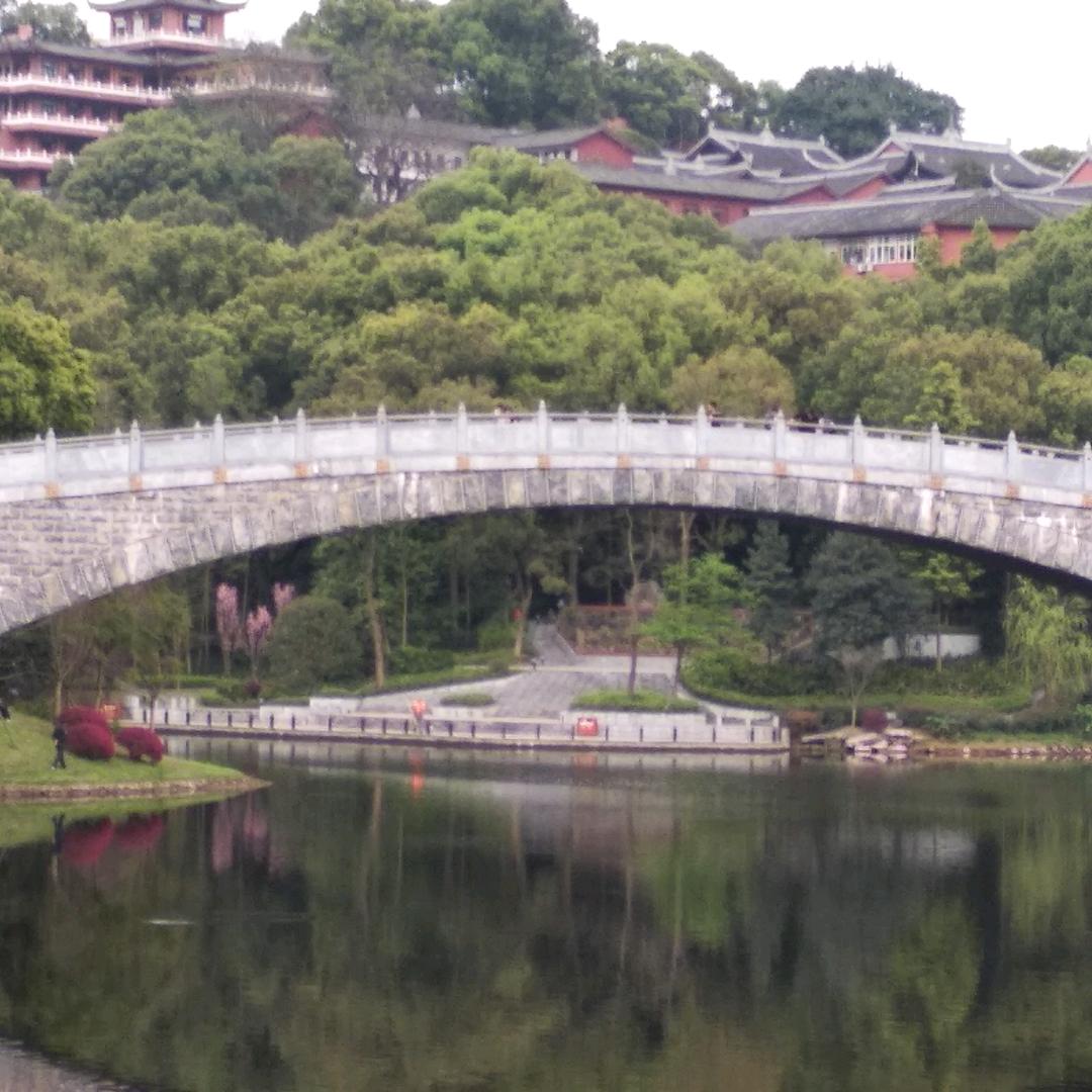 沈德发