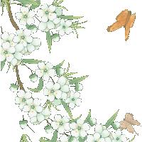 尘归尘，土归土。光的来，光的去。