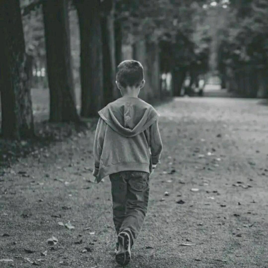 流浪吗我带你走