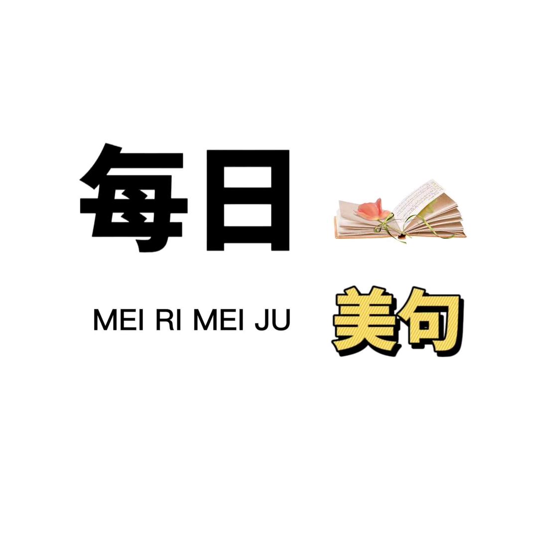 每日美句