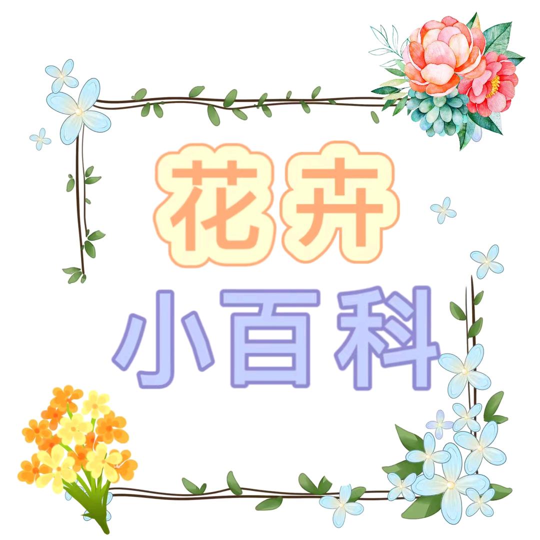 花卉小百科