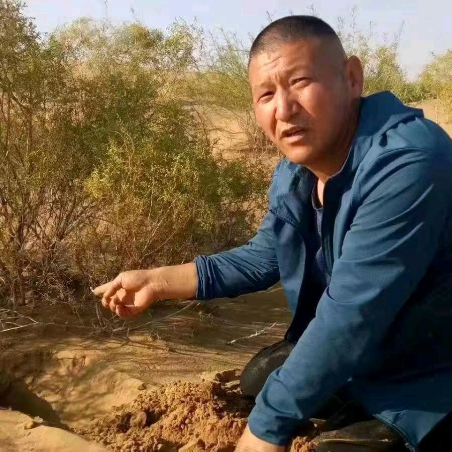 阿拉善卢哥