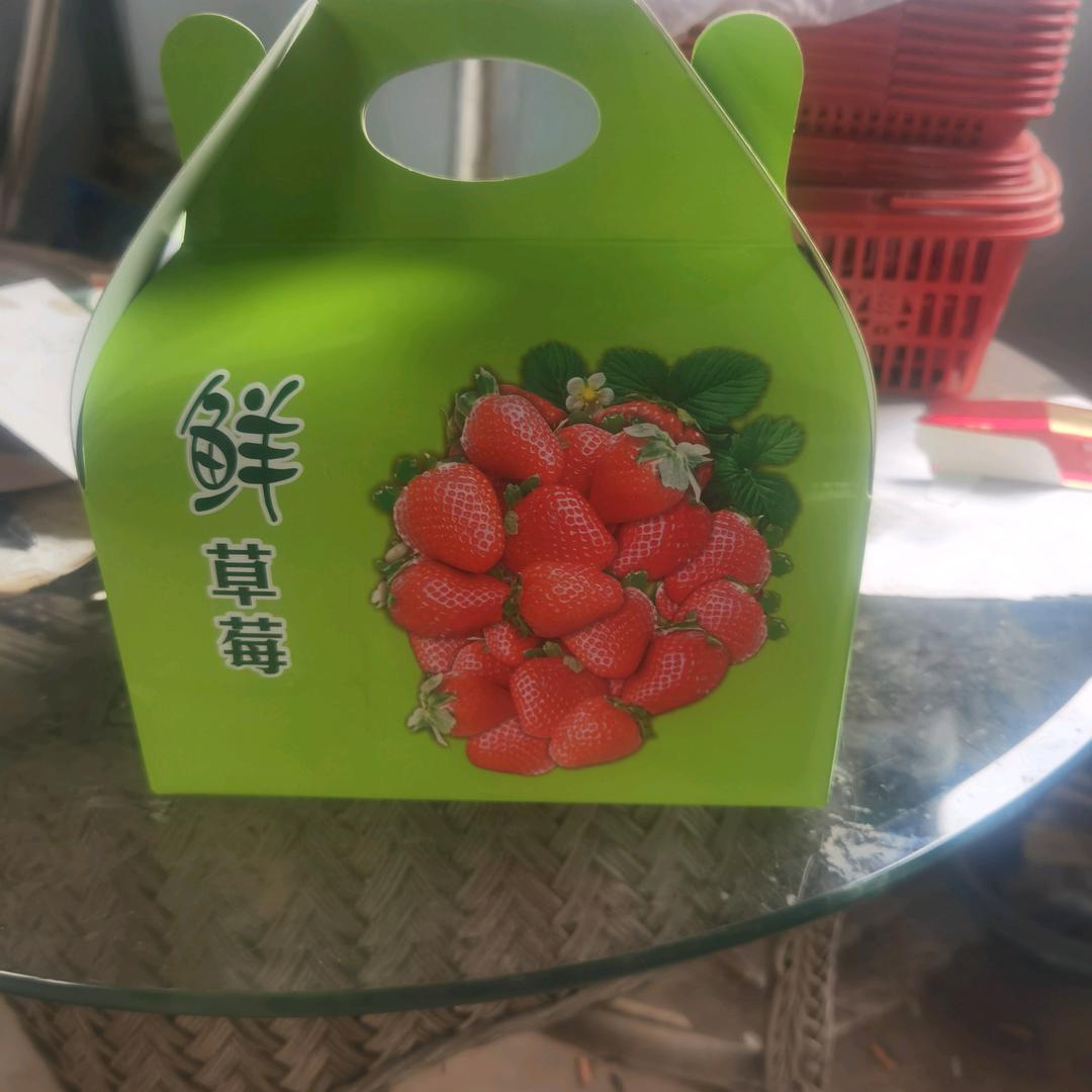 亚云农业合作社草莓园