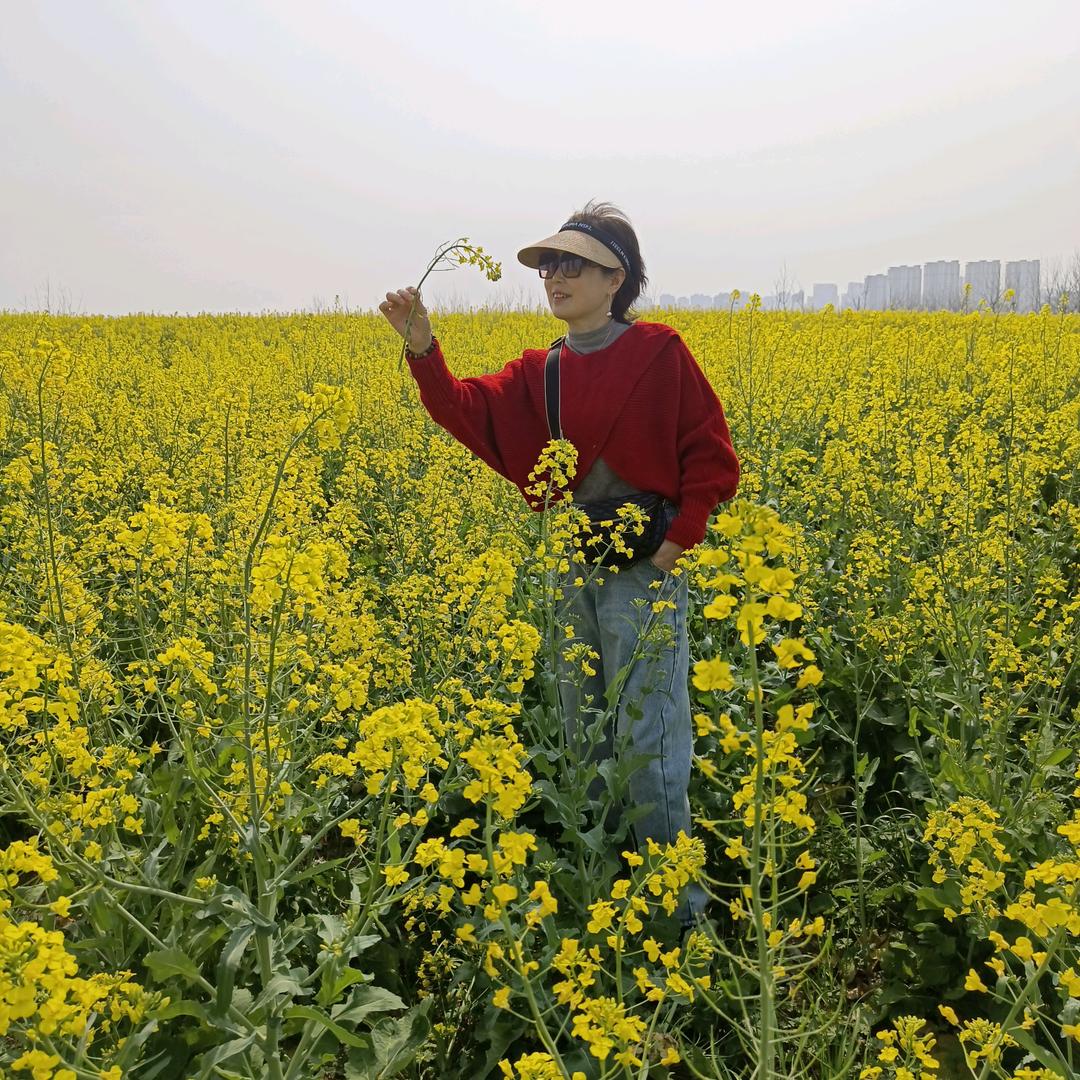 71年金猪🐷🐷🌹🌹