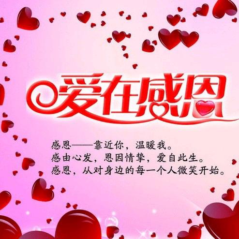 萍萍正能量