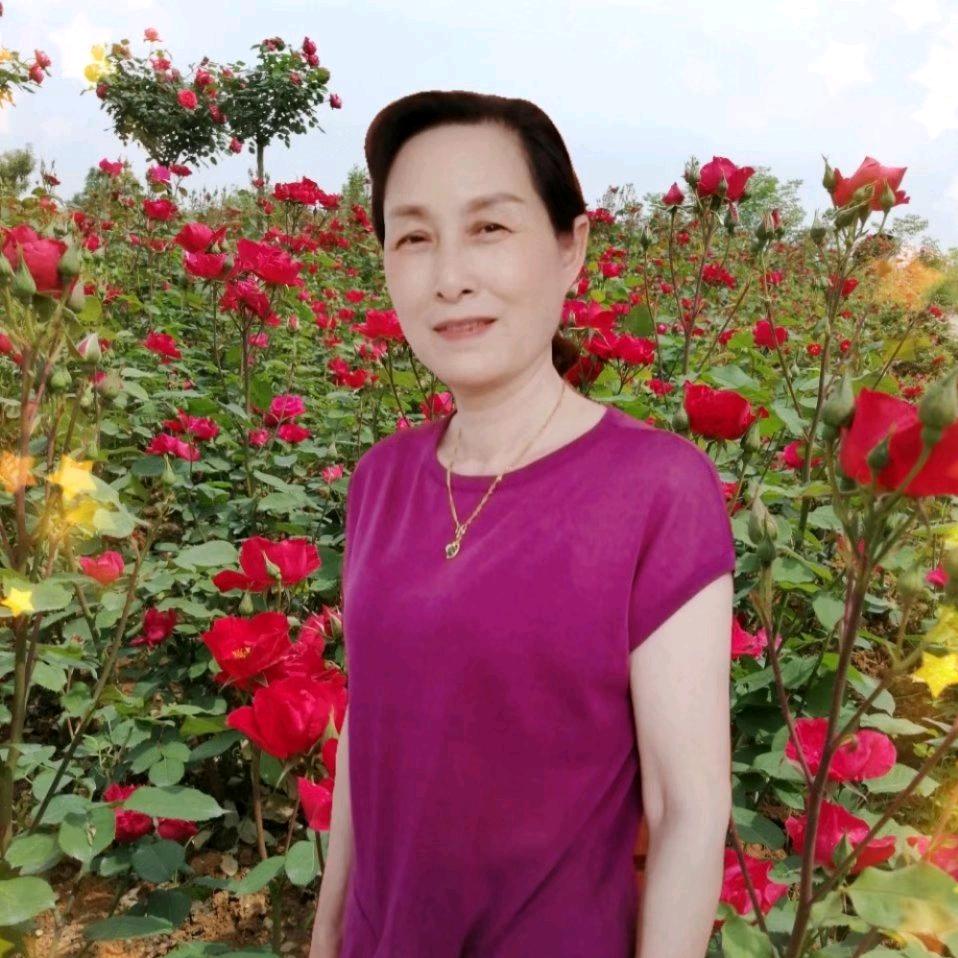一瓣心香