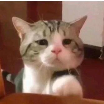 超级开心大蛤蟆