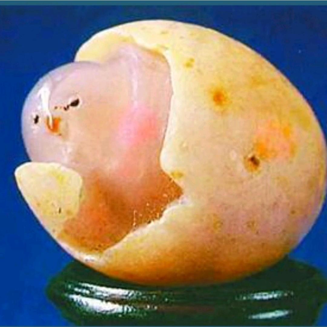 戈壁魂  美图制作
