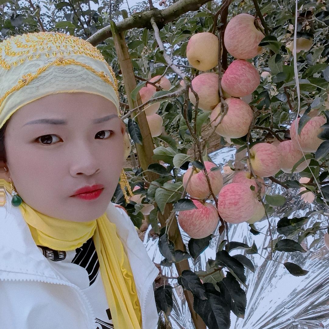 《花非花雾非雾》