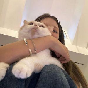 BB