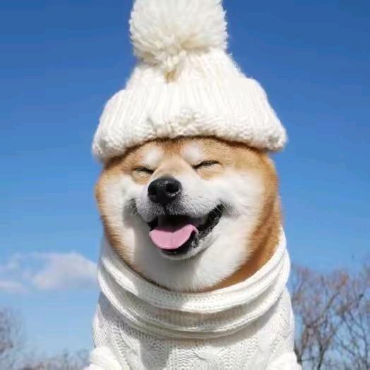 光芒 万丈