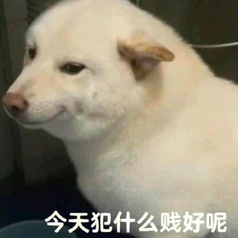 姜姜好