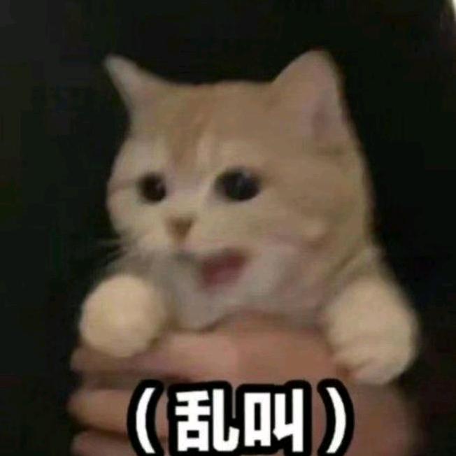 啊秋玩游戏
