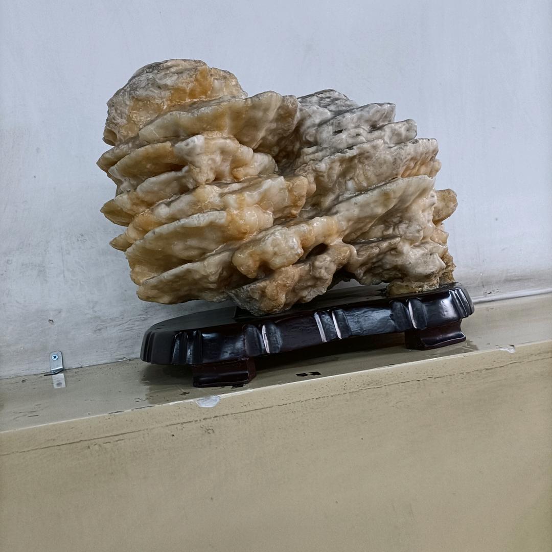糖宝宝