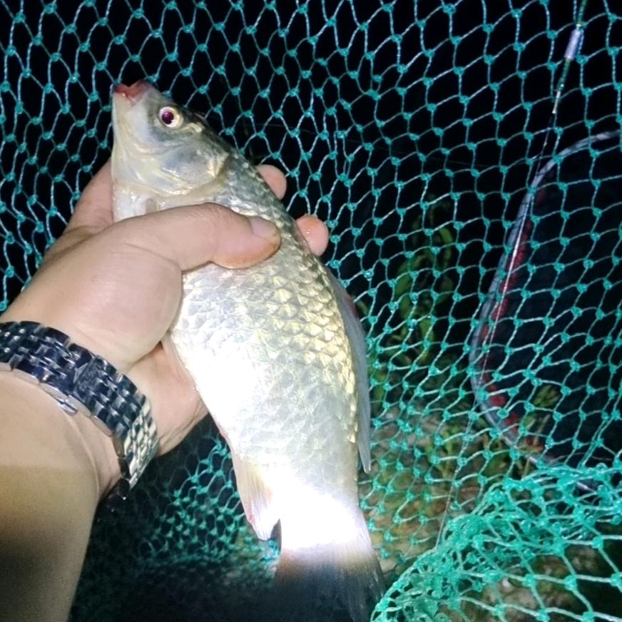 地下室污水提升器-阿斌