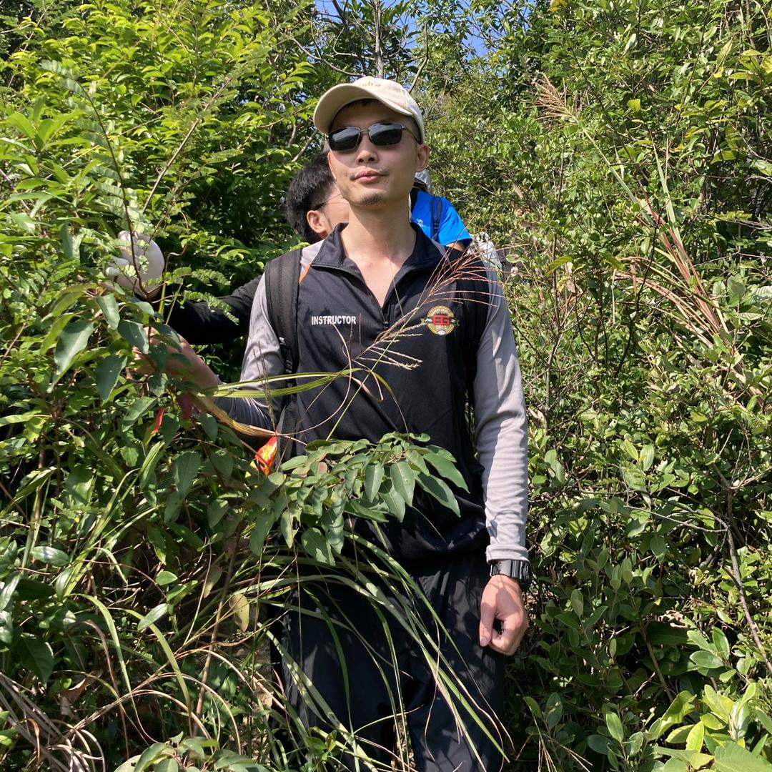 Treeman向山里走去