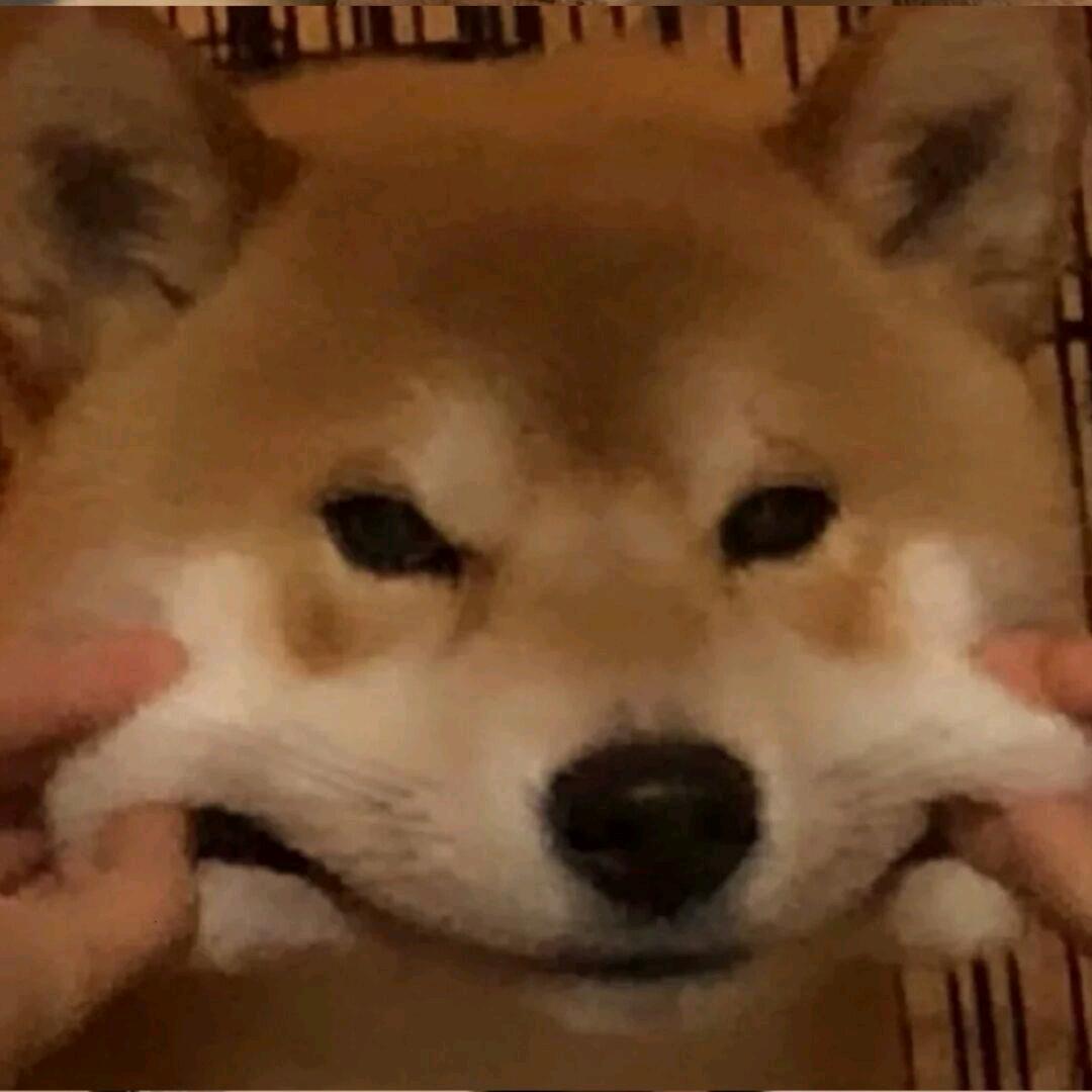 林崽崽