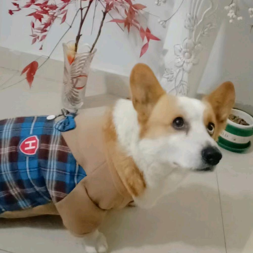 优乐美、