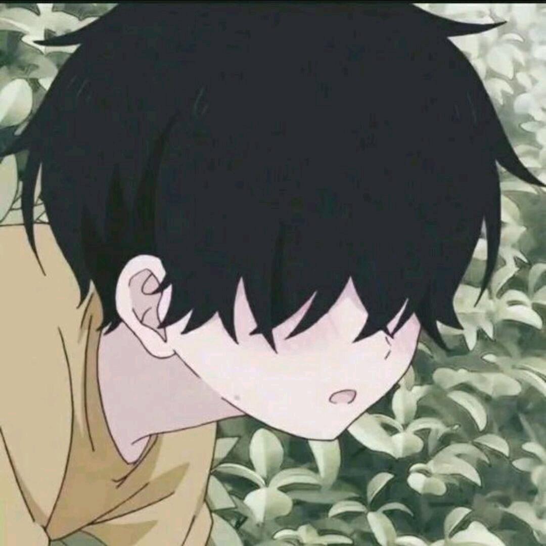 鱼