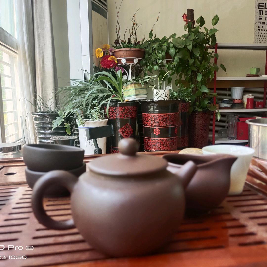 茶说社保