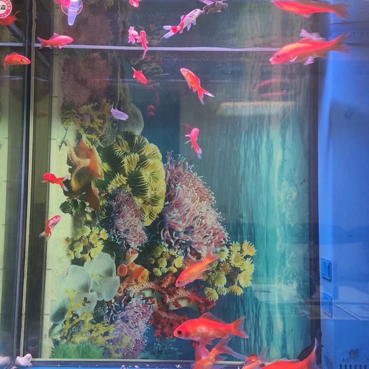 尼罗河的诱惑