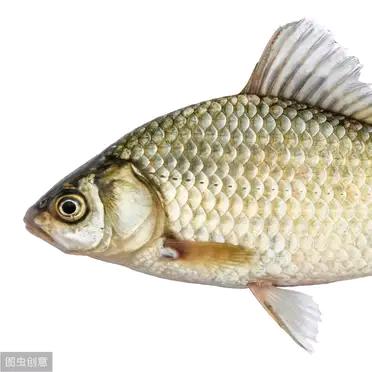 牧鱼人