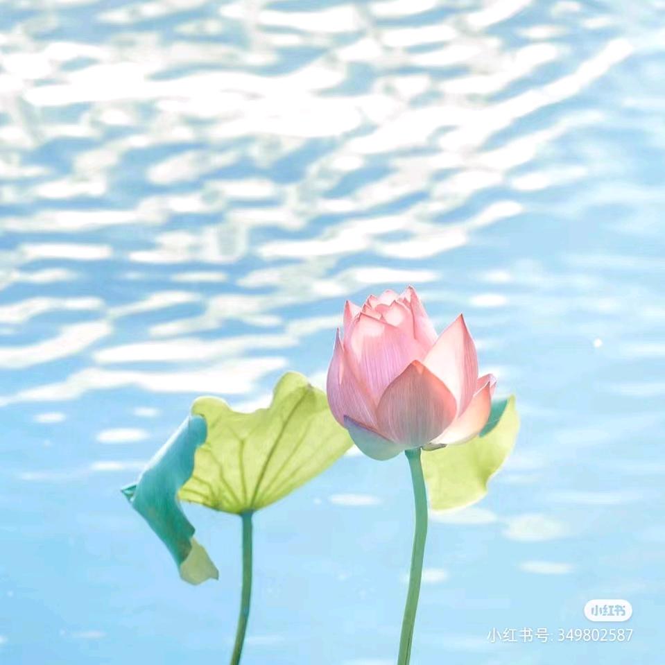 (｡･ω･｡)ﾉ♡
