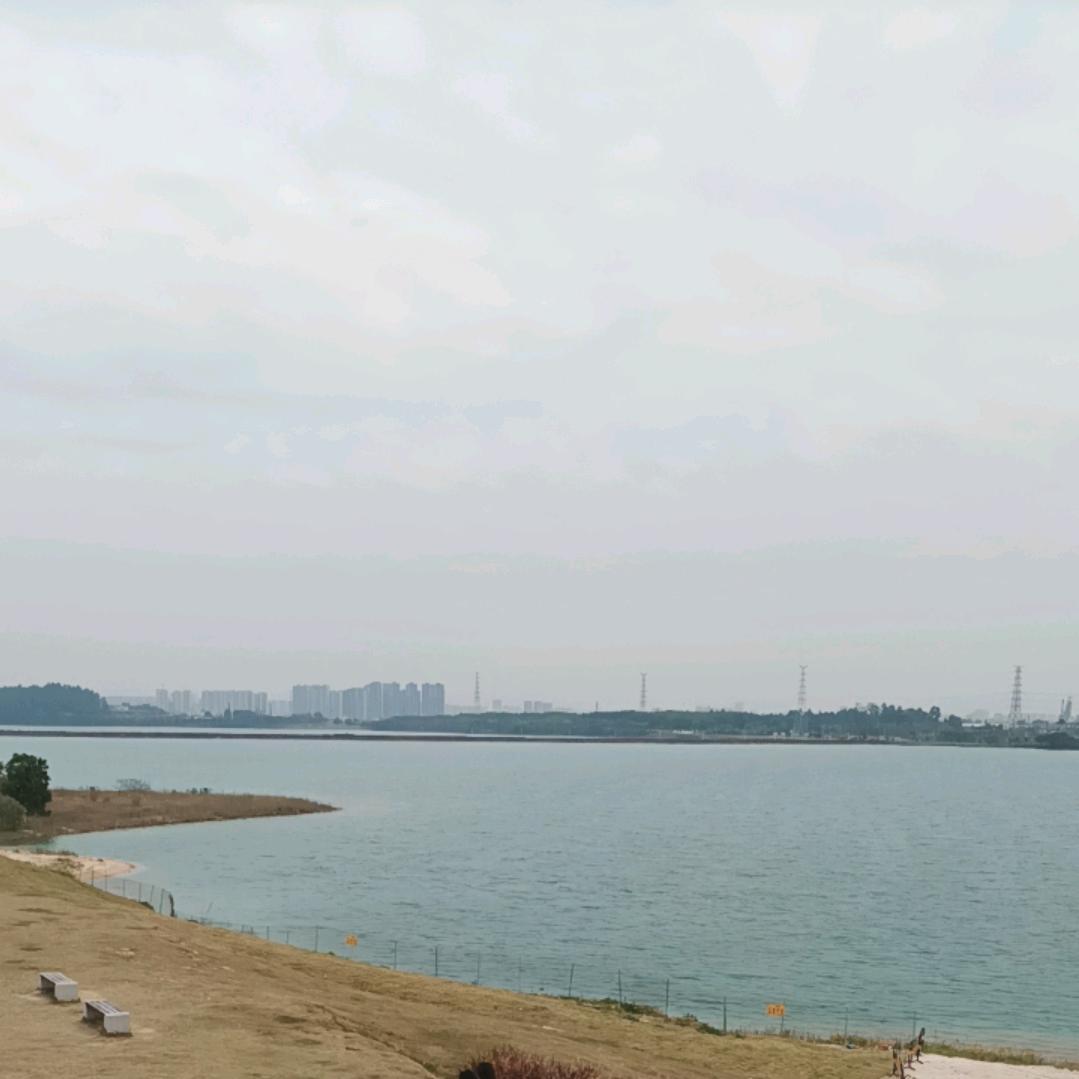海阔天空🍎