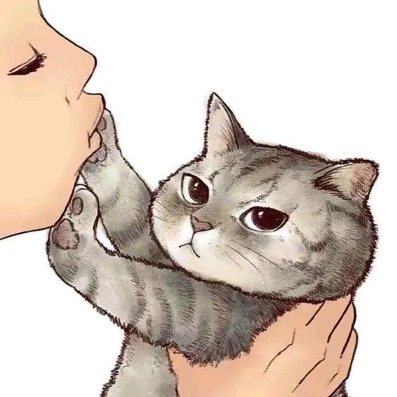 她和她的猫✨