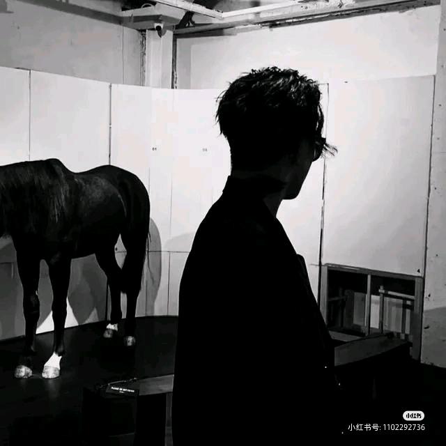 佳铝