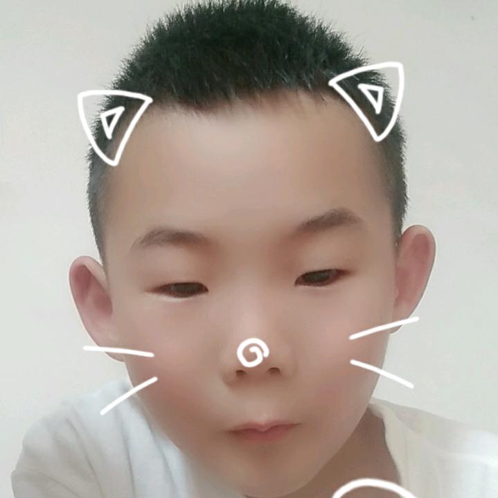 ，。，。