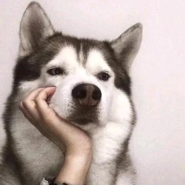 小白推文