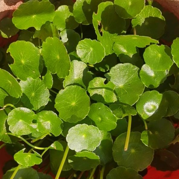 手机用户6841896221