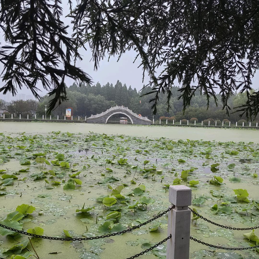 深海的那一抹蓝